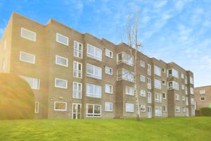 Photo 3- click for photo gallery